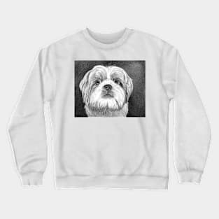 GIZMO Crewneck Sweatshirt